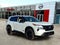 2027 Nissan Rogue Dark Armor